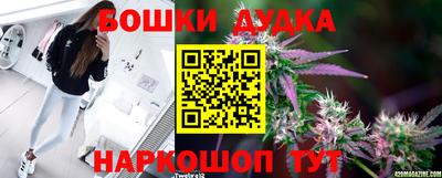 МДПВ Партизанск