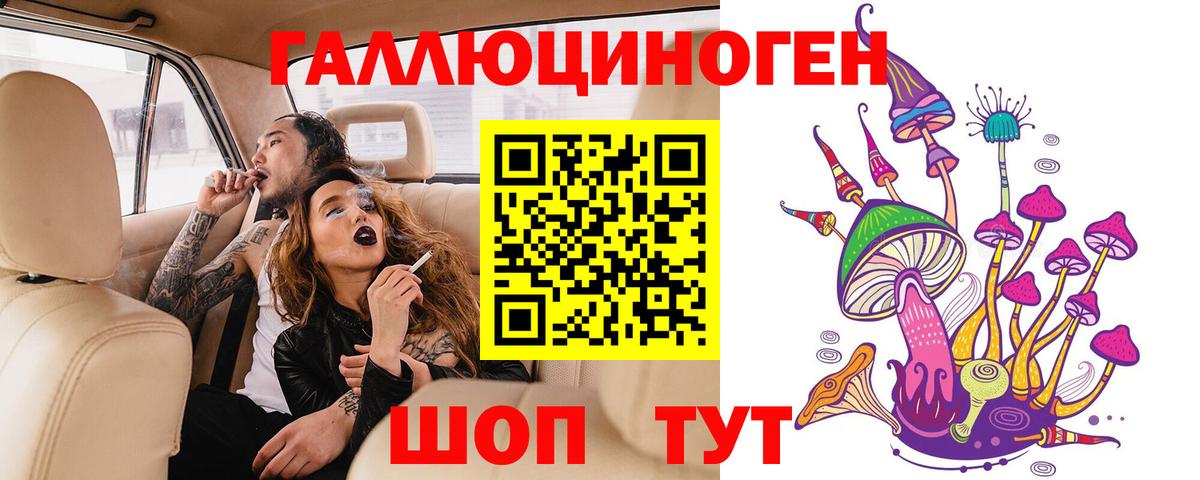 Псилоцибиновые грибы Psilocybe Сосновый Бор